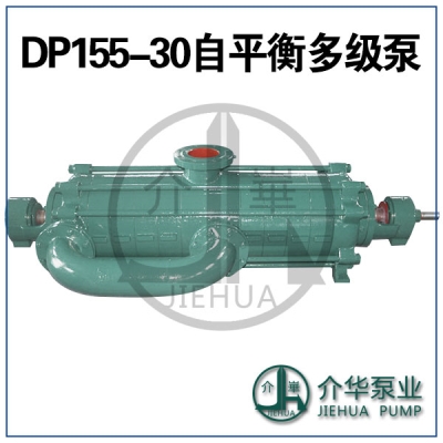 DP155-30X8 臥式自平衡多級(jí)泵